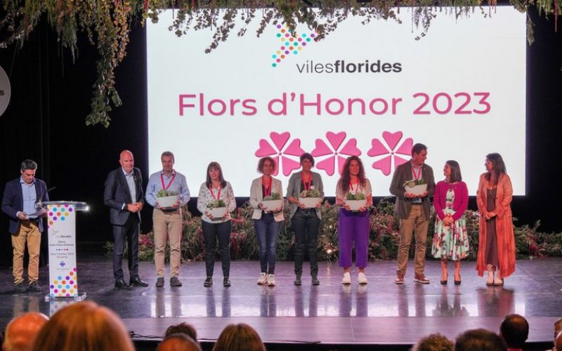 Slide 2
